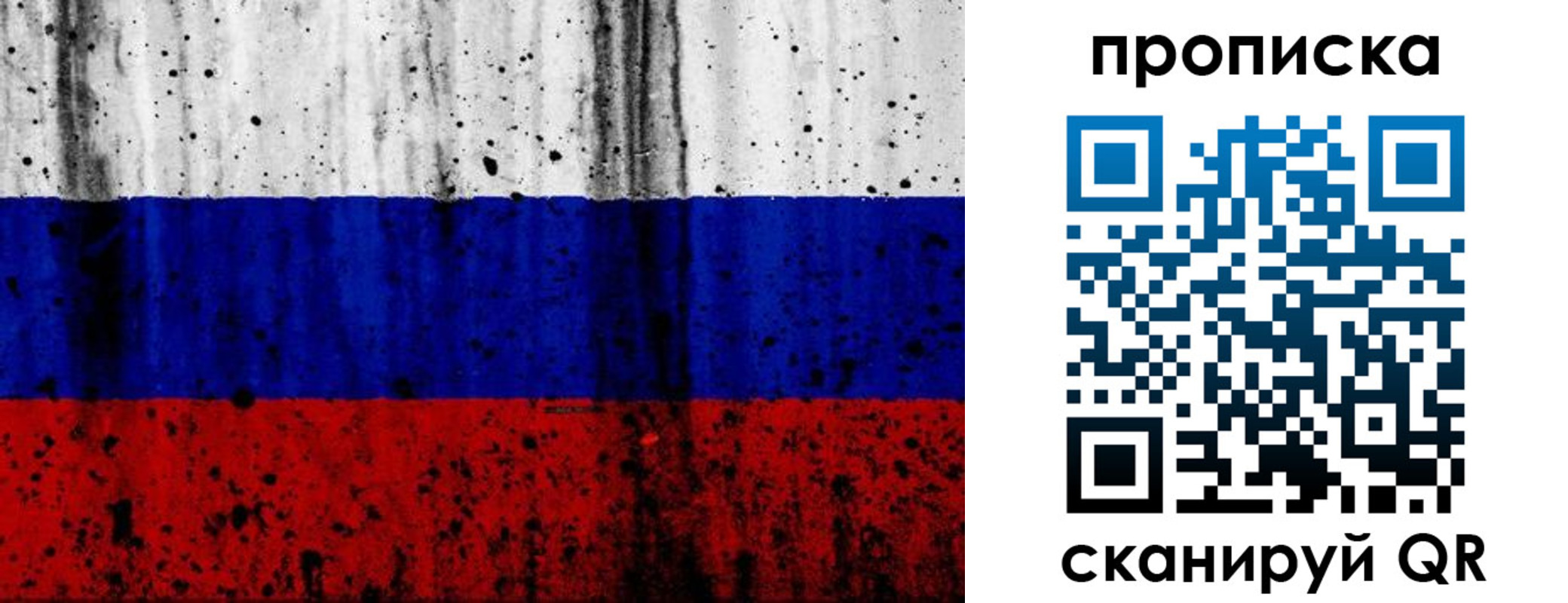 прописка поиск в Новозыбкове